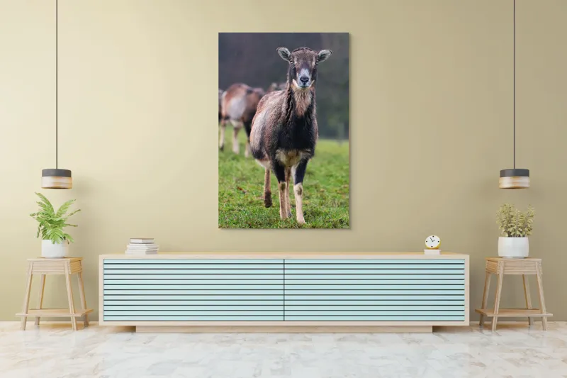 Tablou Canvas, "capra in lumina ploii de primavara", Nu pot spune cine este sau ce face această vietate pe baza unei imagini., 100 x 150 cm – poza 4