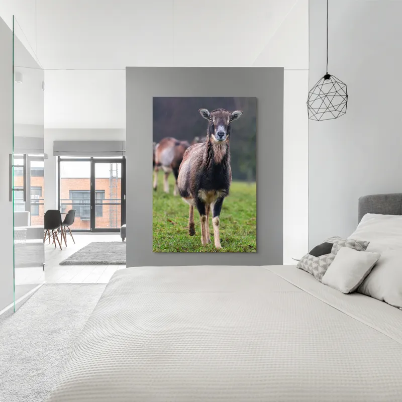 Tablou Canvas, "capra in lumina ploii de primavara", Nu pot spune cine este sau ce face această vietate pe baza unei imagini., 100 x 150 cm – poza 5