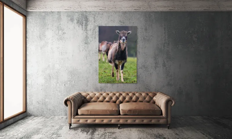 Tablou Canvas, "capra in lumina ploii de primavara", Nu pot spune cine este sau ce face această vietate pe baza unei imagini., 100 x 150 cm – poza 6