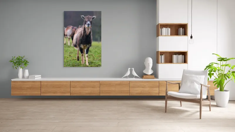 Tablou Canvas, "capra in lumina ploii de primavara", Nu pot spune cine este sau ce face această vietate pe baza unei imagini., 100 x 150 cm – poza 8