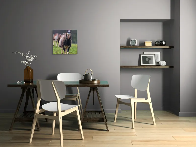 Tablou Canvas, "capra in lumina ploii de primavara", Nu pot spune cine este sau ce face această vietate pe baza unei imagini., 50 x 50 cm – poza 8