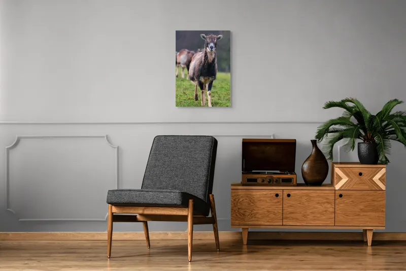 Tablou Canvas, "capra in lumina ploii de primavara", Nu pot spune cine este sau ce face această vietate pe baza unei imagini., 50 x 70 cm – poza 8