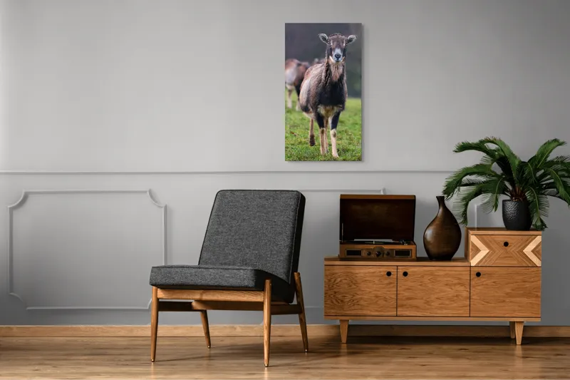 Tablou Canvas, "capra in lumina ploii de primavara", Nu pot spune cine este sau ce face această vietate pe baza unei imagini., 50 x 90 cm – poza 8