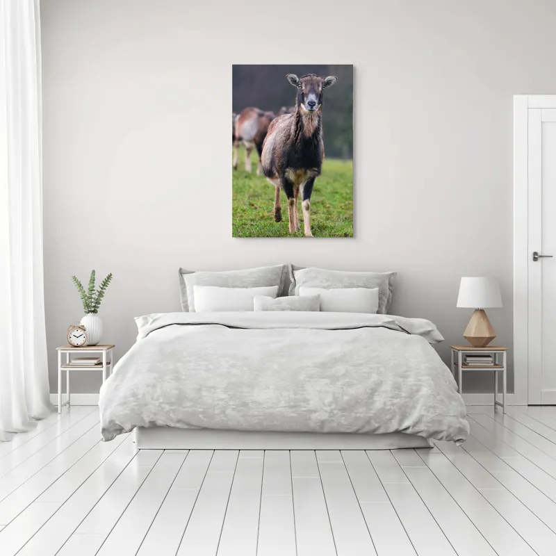 Tablou Canvas, "capra in lumina ploii de primavara", Nu pot spune cine este sau ce face această vietate pe baza unei imagini., 70 x 100 cm – poza 3