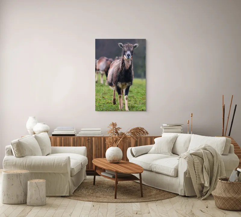 Tablou Canvas, "capra in lumina ploii de primavara", Nu pot spune cine este sau ce face această vietate pe baza unei imagini., 70 x 100 cm – poza 4