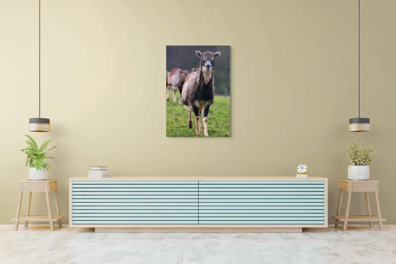 Tablou Canvas, "capra in lumina ploii de primavara", Nu pot spune cine este sau ce face această vietate pe baza unei imagini., 70 x 100 cm – poza 5