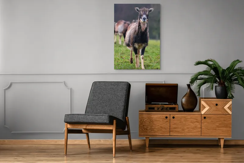 Tablou Canvas, "capra in lumina ploii de primavara", Nu pot spune cine este sau ce face această vietate pe baza unei imagini., 70 x 100 cm – poza 6