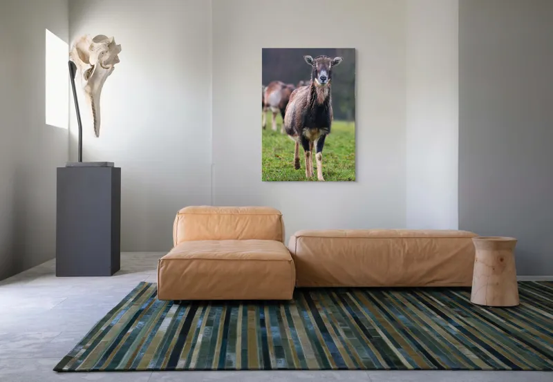 Tablou Canvas, "capra in lumina ploii de primavara", Nu pot spune cine este sau ce face această vietate pe baza unei imagini., 70 x 100 cm – poza 7