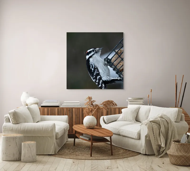 Tablou Canvas, "Ciocănitoarea pe colț de iarnă", Păsăre, Ciocănitoare, Alb, Negru, Roșu, Aripi, Plasă, Suet, Cer, Natură., 100 x 100 cm – poza 3