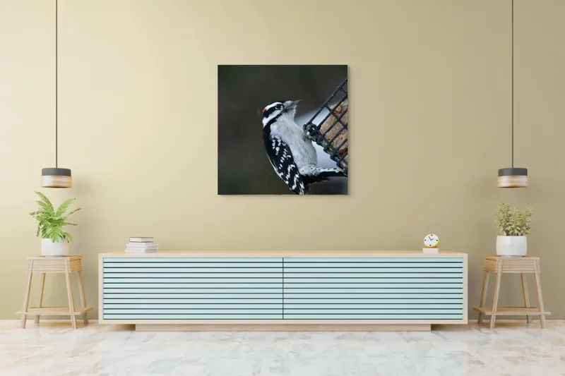 Tablou Canvas, "Ciocănitoarea pe colț de iarnă", Păsăre, Ciocănitoare, Alb, Negru, Roșu, Aripi, Plasă, Suet, Cer, Natură., 100 x 100 cm – poza 5