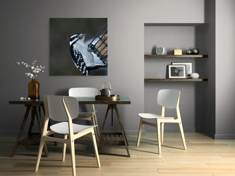 Tablou Canvas, "Ciocănitoarea pe colț de iarnă", Păsăre, Ciocănitoare, Alb, Negru, Roșu, Aripi, Plasă, Suet, Cer, Natură., 100 x 100 cm – poza 6