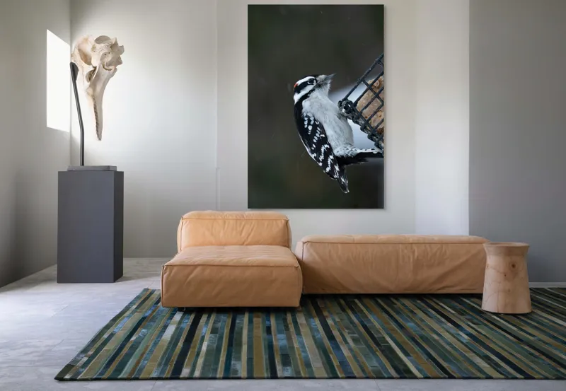 Tablou Canvas, "Ciocănitoarea pe colț de iarnă", Păsăre, Ciocănitoare, Alb, Negru, Roșu, Aripi, Plasă, Suet, Cer, Natură., 100 x 150 cm – poza 7