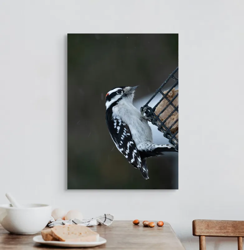 Tablou Canvas, "Ciocănitoarea pe colț de iarnă", Păsăre, Ciocănitoare, Alb, Negru, Roșu, Aripi, Plasă, Suet, Cer, Natură., 50 x 70 cm – poza 3