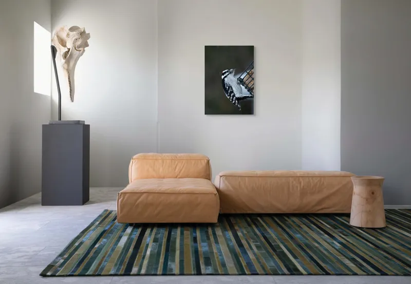 Tablou Canvas, "Ciocănitoarea pe colț de iarnă", Păsăre, Ciocănitoare, Alb, Negru, Roșu, Aripi, Plasă, Suet, Cer, Natură., 50 x 70 cm – poza 7