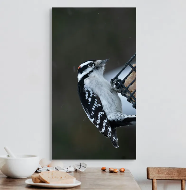 Tablou Canvas, "Ciocănitoarea pe colț de iarnă", Păsăre, Ciocănitoare, Alb, Negru, Roșu, Aripi, Plasă, Suet, Cer, Natură., 50 x 90 cm – poza 3