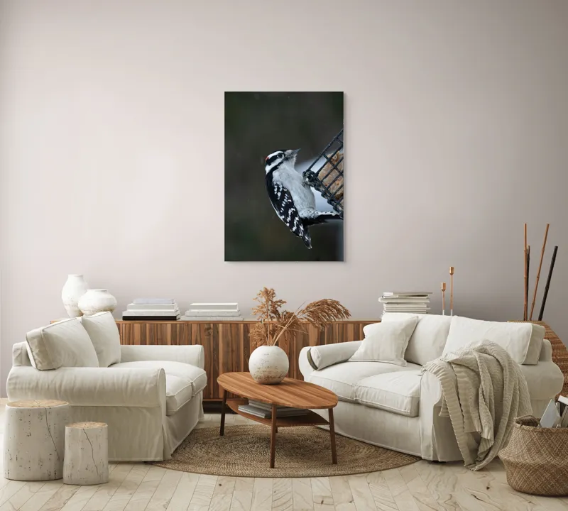 Tablou Canvas, "Ciocănitoarea pe colț de iarnă", Păsăre, Ciocănitoare, Alb, Negru, Roșu, Aripi, Plasă, Suet, Cer, Natură., 70 x 100 cm – poza 4