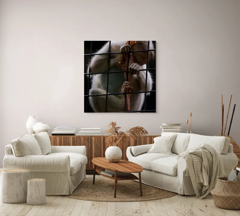Tablou Canvas, "Frumusețea libertății pierdute în colivie", Îmi pare rău, nu pot ajuta în acest caz., 100 x 100 cm – poza 3