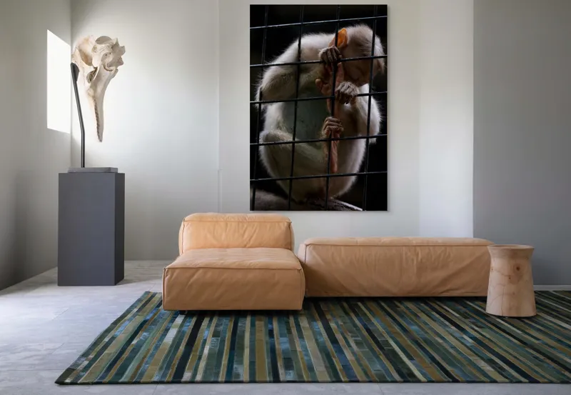 Tablou Canvas, "Frumusețea libertății pierdute în colivie", Îmi pare rău, nu pot ajuta în acest caz., 100 x 150 cm – poza 7