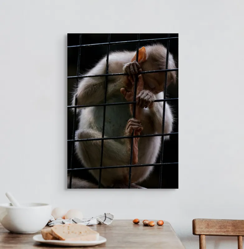 Tablou Canvas, "Frumusețea libertății pierdute în colivie", Îmi pare rău, nu pot ajuta în acest caz., 50 x 70 cm – poza 3