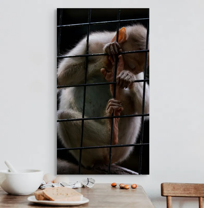Tablou Canvas, "Frumusețea libertății pierdute în colivie", Îmi pare rău, nu pot ajuta în acest caz., 50 x 90 cm – poza 3