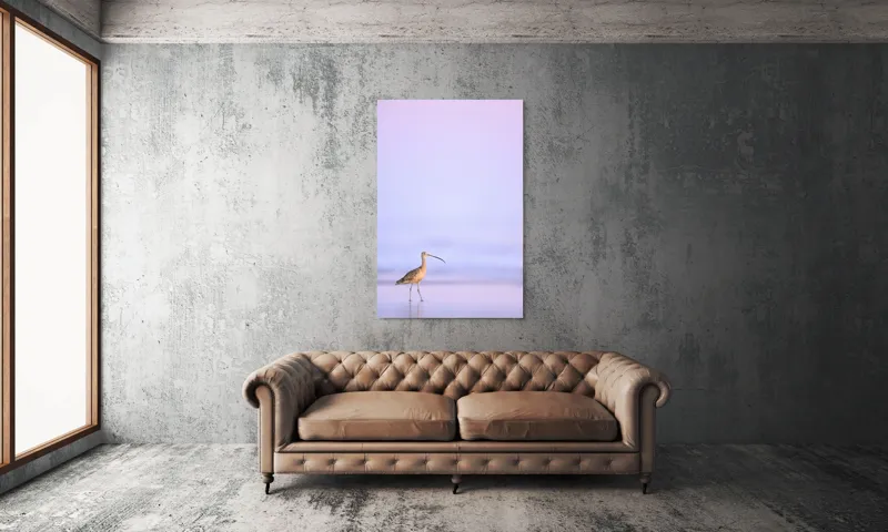 Tablou Canvas, "Păsărea singuratică la apus pastelat", Pasăre, Plajă, Apus, Siluetă, Liniște, Natură, Zare, Solitudine, 100 x 150 cm – poza 6