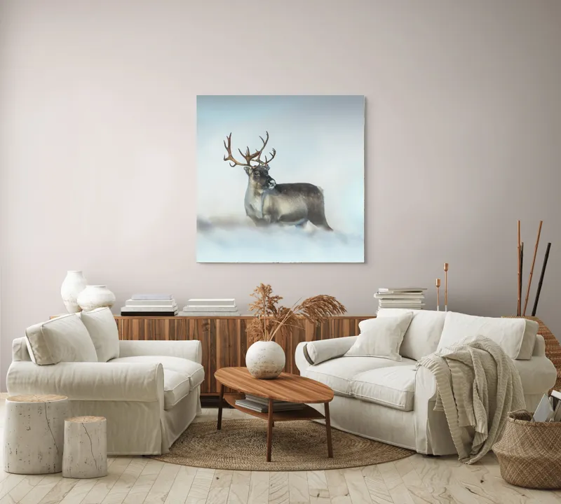Tablou Canvas, "Rena pe câmpul de zăpadă.", Ren, Zăpadă, Cer, Frig, Natură, Animale, Iarnă, 100 x 100 cm – poza 3