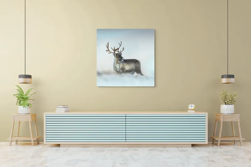 Tablou Canvas, "Rena pe câmpul de zăpadă.", Ren, Zăpadă, Cer, Frig, Natură, Animale, Iarnă, 100 x 100 cm – poza 5