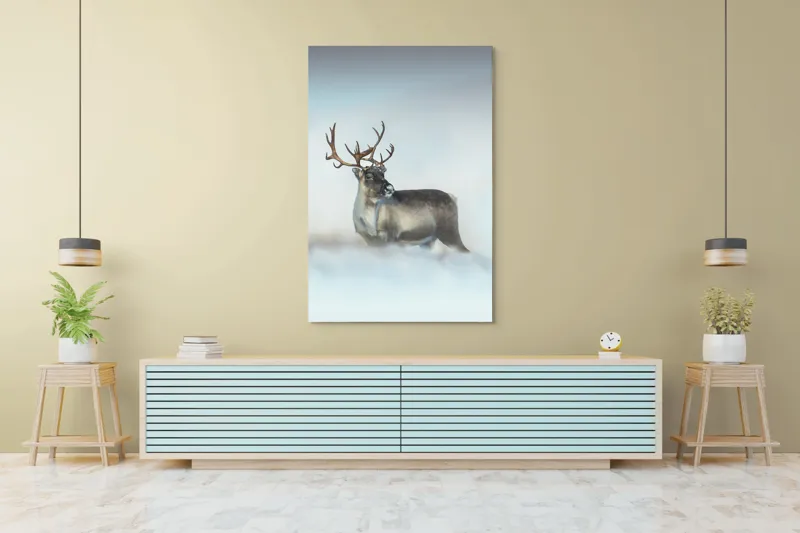 Tablou Canvas, "Rena pe câmpul de zăpadă.", Ren, Zăpadă, Cer, Frig, Natură, Animale, Iarnă, 100 x 150 cm – poza 4