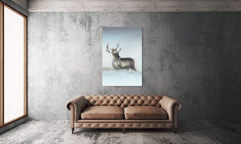 Tablou Canvas, "Rena pe câmpul de zăpadă.", Ren, Zăpadă, Cer, Frig, Natură, Animale, Iarnă, 100 x 150 cm – poza 6