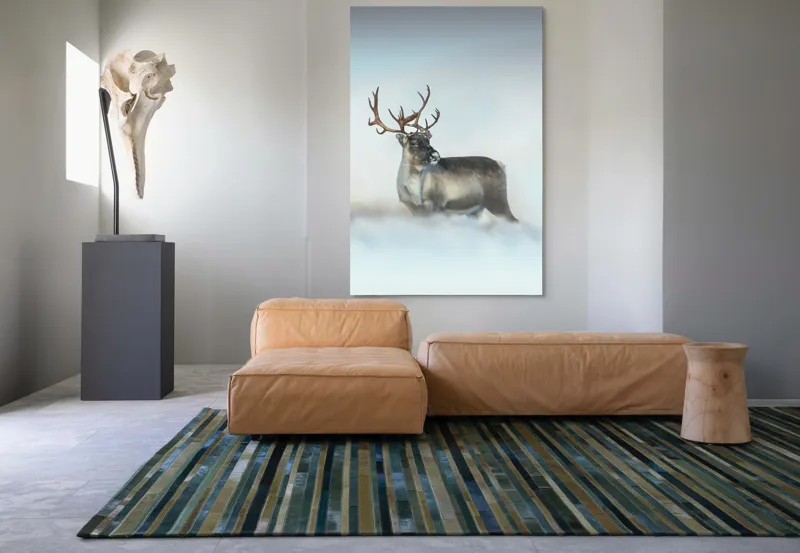 Tablou Canvas, "Rena pe câmpul de zăpadă.", Ren, Zăpadă, Cer, Frig, Natură, Animale, Iarnă, 100 x 150 cm – poza 7