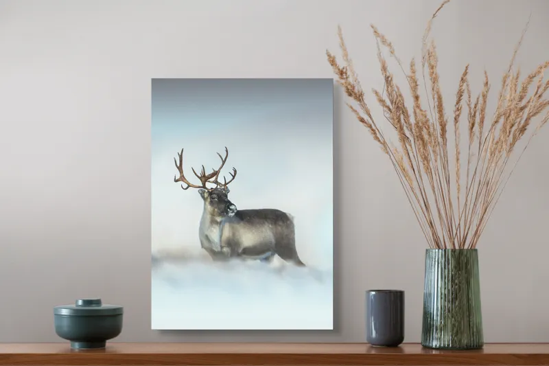 Tablou Canvas, "Rena pe câmpul de zăpadă.", Ren, Zăpadă, Cer, Frig, Natură, Animale, Iarnă, 39 x 54 cm – poza 3
