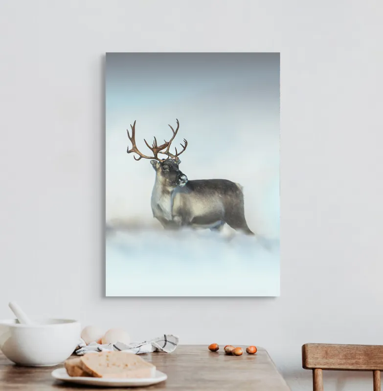 Tablou Canvas, "Rena pe câmpul de zăpadă.", Ren, Zăpadă, Cer, Frig, Natură, Animale, Iarnă, 50 x 70 cm – poza 3