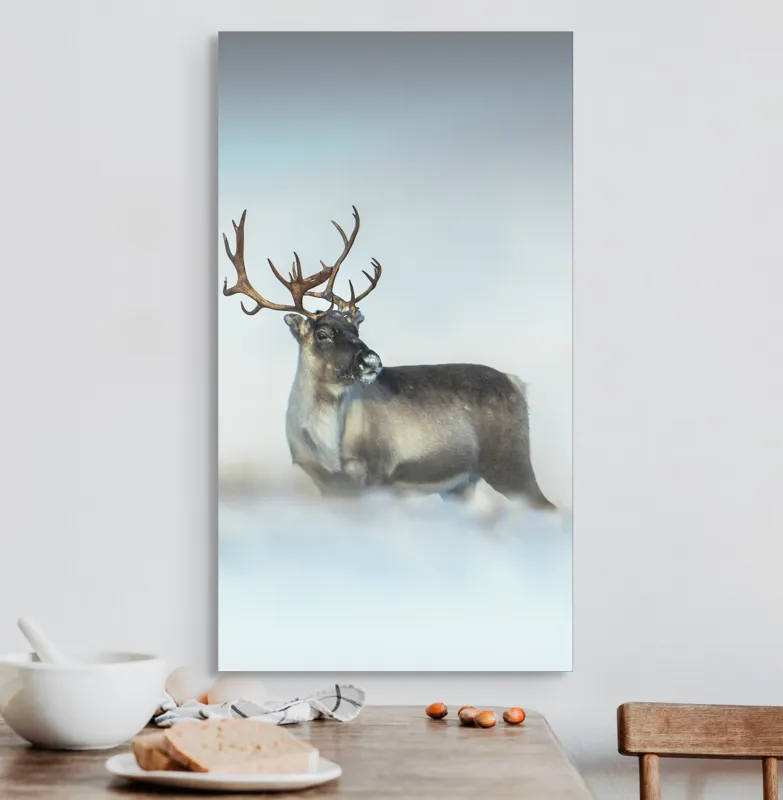 Tablou Canvas, "Rena pe câmpul de zăpadă.", Ren, Zăpadă, Cer, Frig, Natură, Animale, Iarnă, 50 x 90 cm – poza 3