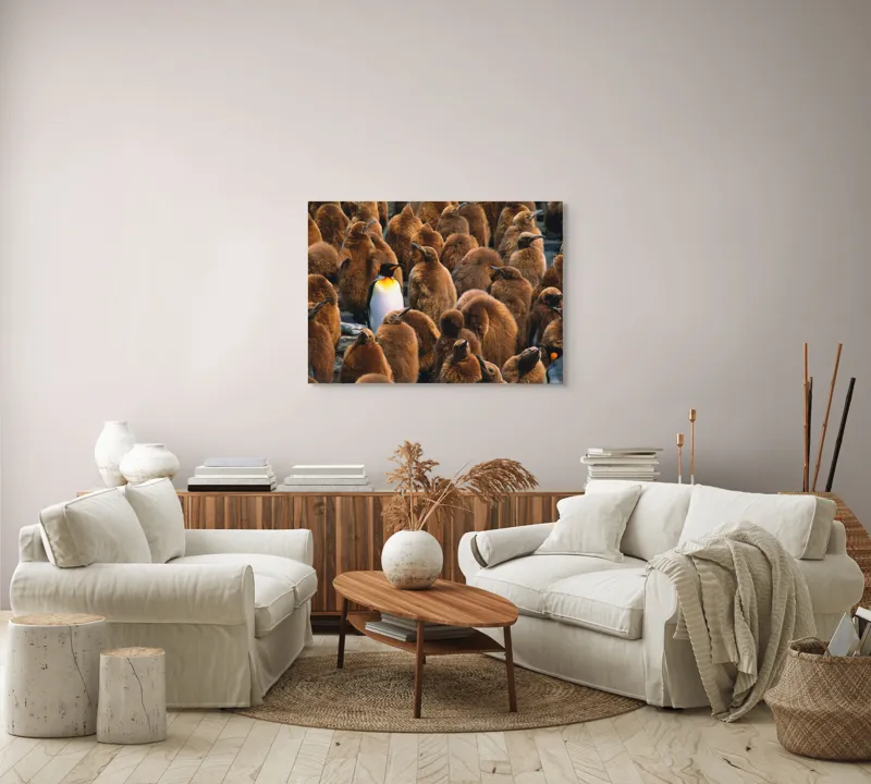 Tablou Canvas, "Pinguinul împărat între pui de pinguin", Puf, Pinguin, Pene, Contrast, Grupa, Camuflaj, Pui, Culoare, Natură, Varietate, 100 x 70 cm – poza 3