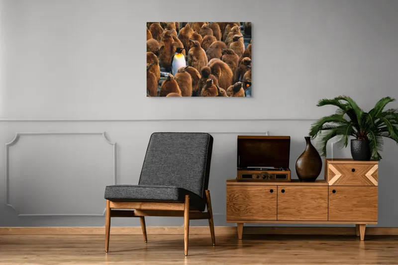 Tablou Canvas, "Pinguinul împărat între pui de pinguin", Puf, Pinguin, Pene, Contrast, Grupa, Camuflaj, Pui, Culoare, Natură, Varietate, 100 x 70 cm – poza 8