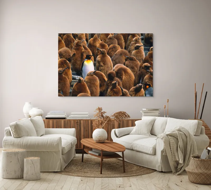 Tablou Canvas, "Pinguinul împărat între pui de pinguin", Puf, Pinguin, Pene, Contrast, Grupa, Camuflaj, Pui, Culoare, Natură, Varietate, 150 x 100 cm – poza 3