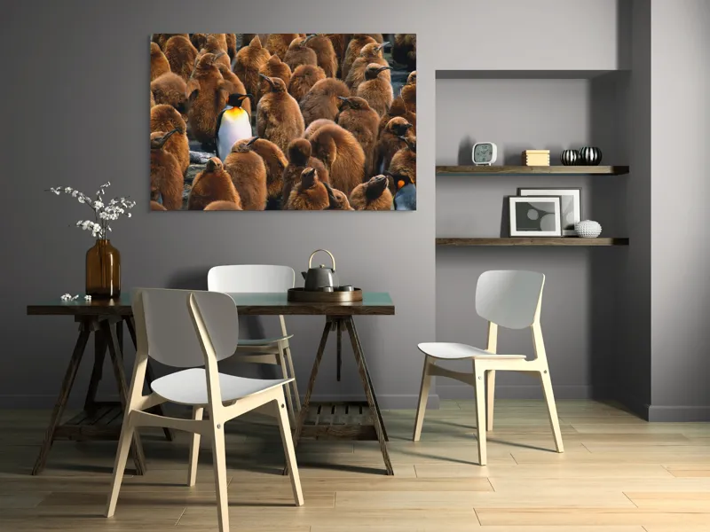 Tablou Canvas, "Pinguinul împărat între pui de pinguin", Puf, Pinguin, Pene, Contrast, Grupa, Camuflaj, Pui, Culoare, Natură, Varietate, 150 x 100 cm – poza 5