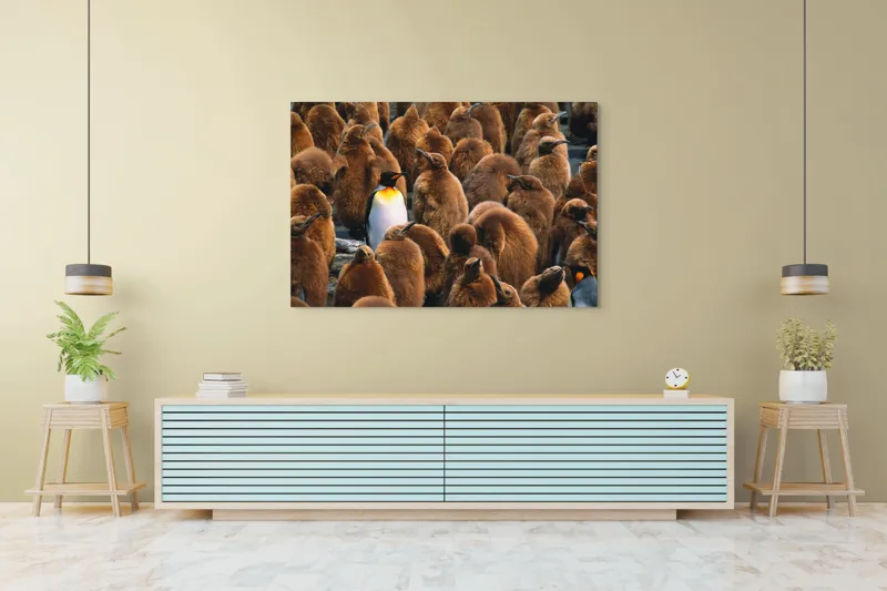Tablou Canvas, "Pinguinul împărat între pui de pinguin", Puf, Pinguin, Pene, Contrast, Grupa, Camuflaj, Pui, Culoare, Natură, Varietate, 150 x 100 cm – poza 6