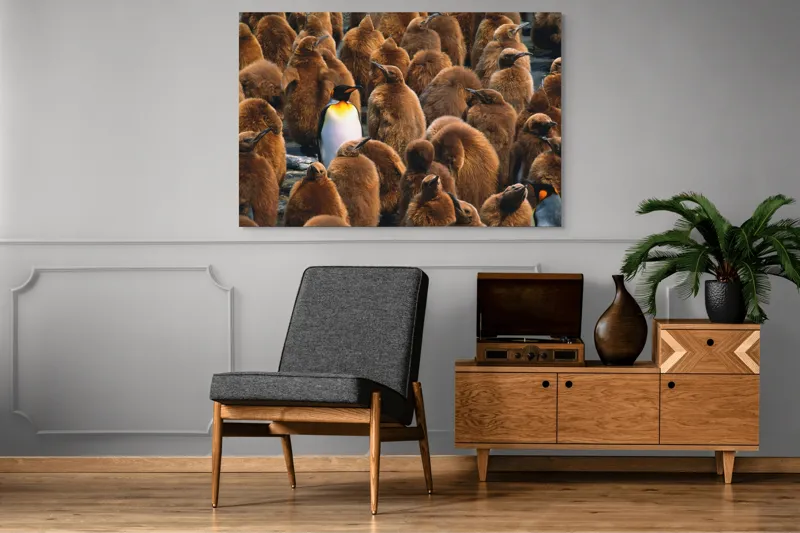 Tablou Canvas, "Pinguinul împărat între pui de pinguin", Puf, Pinguin, Pene, Contrast, Grupa, Camuflaj, Pui, Culoare, Natură, Varietate, 150 x 100 cm – poza 8