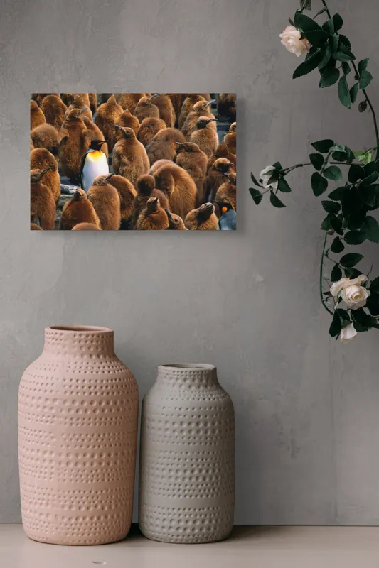 Tablou Canvas, "Pinguinul împărat între pui de pinguin", Puf, Pinguin, Pene, Contrast, Grupa, Camuflaj, Pui, Culoare, Natură, Varietate, 39 x 26 cm – poza 4