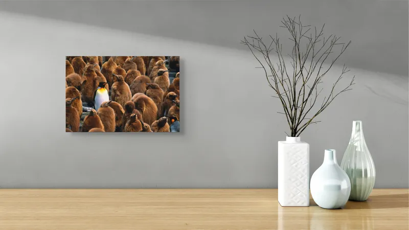 Tablou Canvas, "Pinguinul împărat între pui de pinguin", Puf, Pinguin, Pene, Contrast, Grupa, Camuflaj, Pui, Culoare, Natură, Varietate, 39 x 26 cm – poza 8