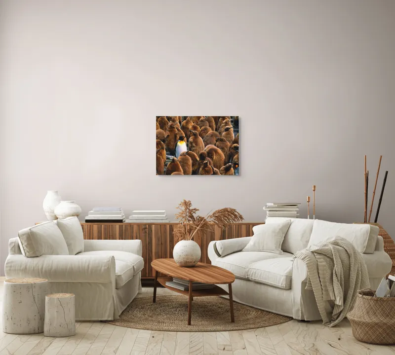 Tablou Canvas, "Pinguinul împărat între pui de pinguin", Puf, Pinguin, Pene, Contrast, Grupa, Camuflaj, Pui, Culoare, Natură, Varietate, 70 x 50 cm – poza 6
