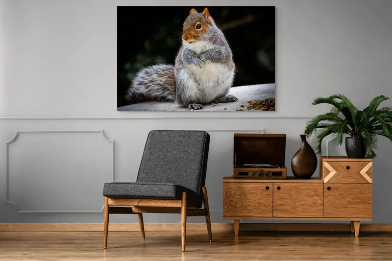 Tablou Canvas, "Veverița curioasă în grădină verde", Blănos, Drăgălaș, Veveriță, Gri, Poziționat, Observator, Butoiaș, Mâncare, 150 x 100 cm – poza 8