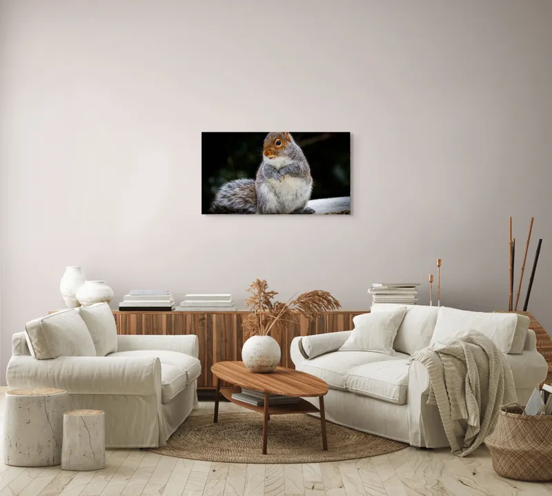 Tablou Canvas, "Veverița curioasă în grădină verde", Blănos, Drăgălaș, Veveriță, Gri, Poziționat, Observator, Butoiaș, Mâncare, 90 x 50 cm – poza 4