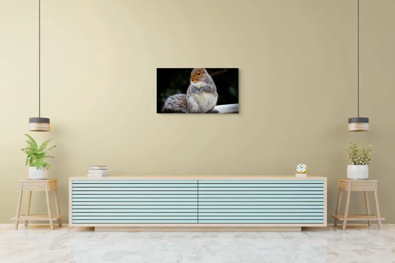 Tablou Canvas, "Veverița curioasă în grădină verde", Blănos, Drăgălaș, Veveriță, Gri, Poziționat, Observator, Butoiaș, Mâncare, 90 x 50 cm – poza 5