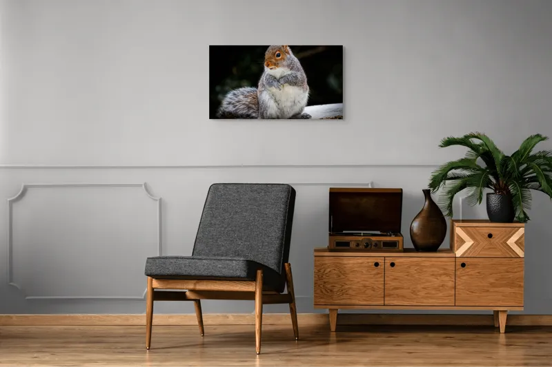 Tablou Canvas, "Veverița curioasă în grădină verde", Blănos, Drăgălaș, Veveriță, Gri, Poziționat, Observator, Butoiaș, Mâncare, 90 x 50 cm – poza 6