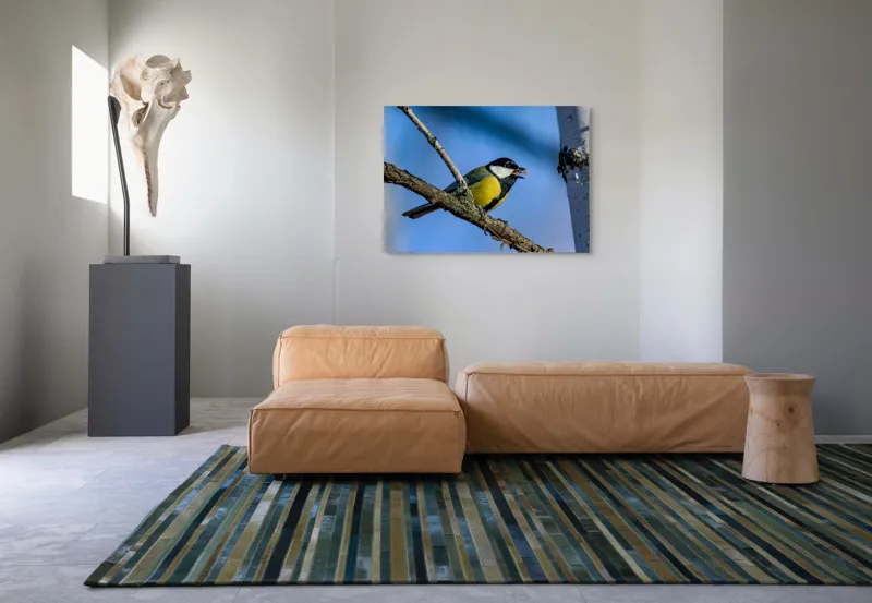 Tablou Canvas, "Mierla în lumina dimineții albastre", Pasăre, Creangă, Oferirea, Cer, Penaj, Obiectiv, Prindere, Natură, 100 x 70 cm – poza 7