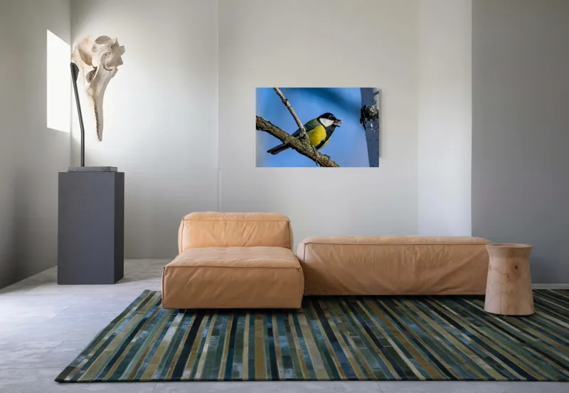 Tablou Canvas, "Mierla în lumina dimineții albastre", Pasăre, Creangă, Oferirea, Cer, Penaj, Obiectiv, Prindere, Natură, 90 x 50 cm – poza 8