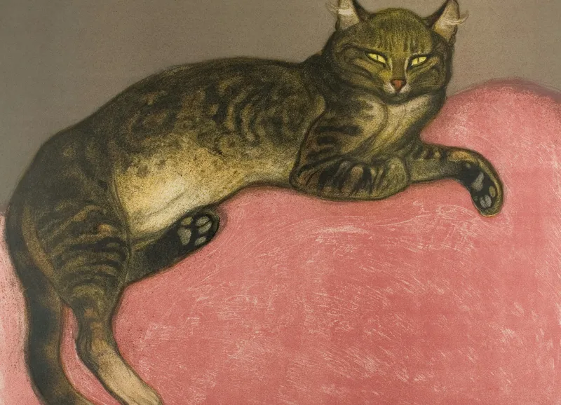 Tablou Canvas, "Pisica torcând pe perna roz", Pisică, Relaxare, Culoare, Textură, Blană, Privire, Odihnă, Canapea, Calm, Detalii, 54 x 39 cm – poza 2