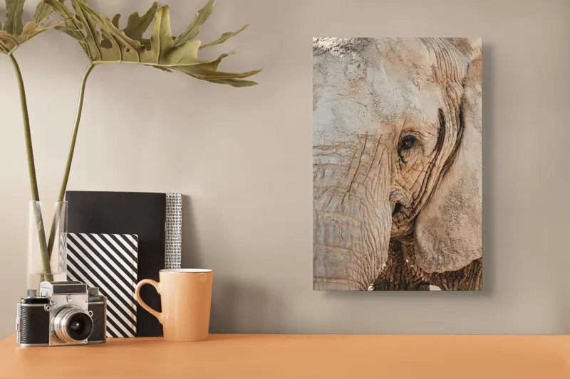 Tablou Canvas, "Căldura privirii unui elefant", Elefant, Majestuos, Impresionant, Puternic, Seren, Rugos, Venerabil, Natural, Profund, Inspirator, 26 x 39 cm – poza 3
